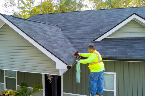 Clear Gutters and Clean Roofs Experts